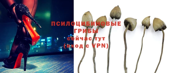 трава Нягань